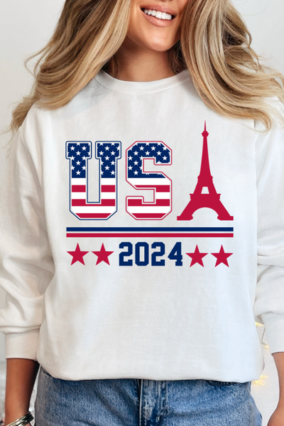 Team USA Sweatshirt (Comfort Colors)